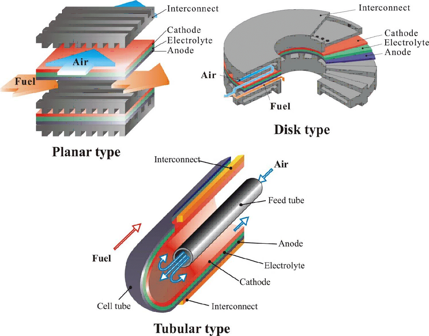 様々なセル形状 様々なセル形状