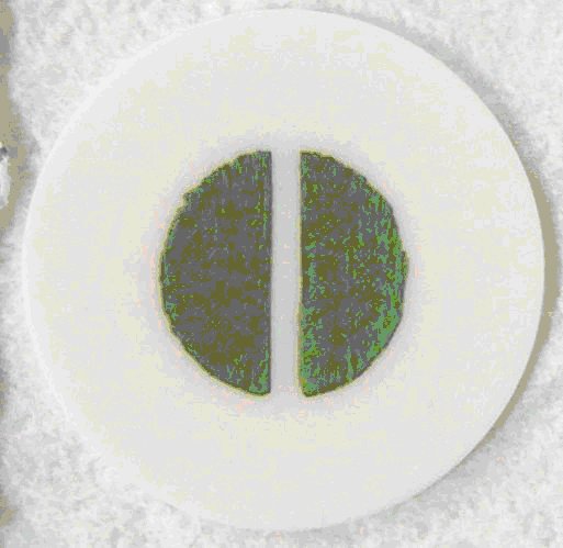 自作した円形小型セルの外観a