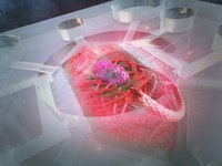 マイクロバイオシステム